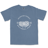 Petrified Forest National Park T-shirt in Blue Jean