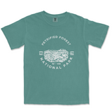 Petrified Forest National Park T-shirt in Blue Spruce