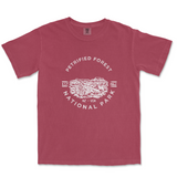 Petrified Forest National Park T-shirt in Brick