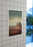 Petrified Forest National Park Poster