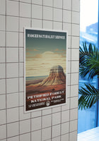 Petrified Forest National Park Poster