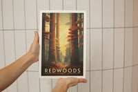 Redwood National Park Poster