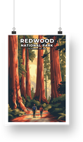 Redwood National Park Poster