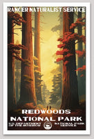 Redwood National Park WPA Sticker Large