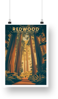 Redwood National Park Poster