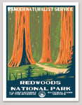 Redwood National Park WPA Sticker Large