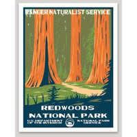 Redwood National Park WPA Sticker Large