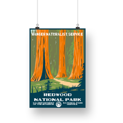 Redwood National Park Poster – Golden Redwoods & Forest Floor – Ranger Header
