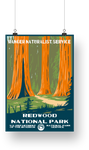 Redwood National Park Poster