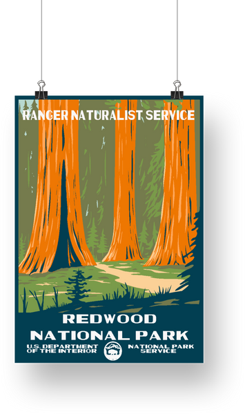 Redwood National Park Poster