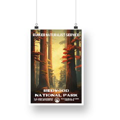 Redwood National Park Poster – Redwood Canopy & Golden Sunset – Ranger Header