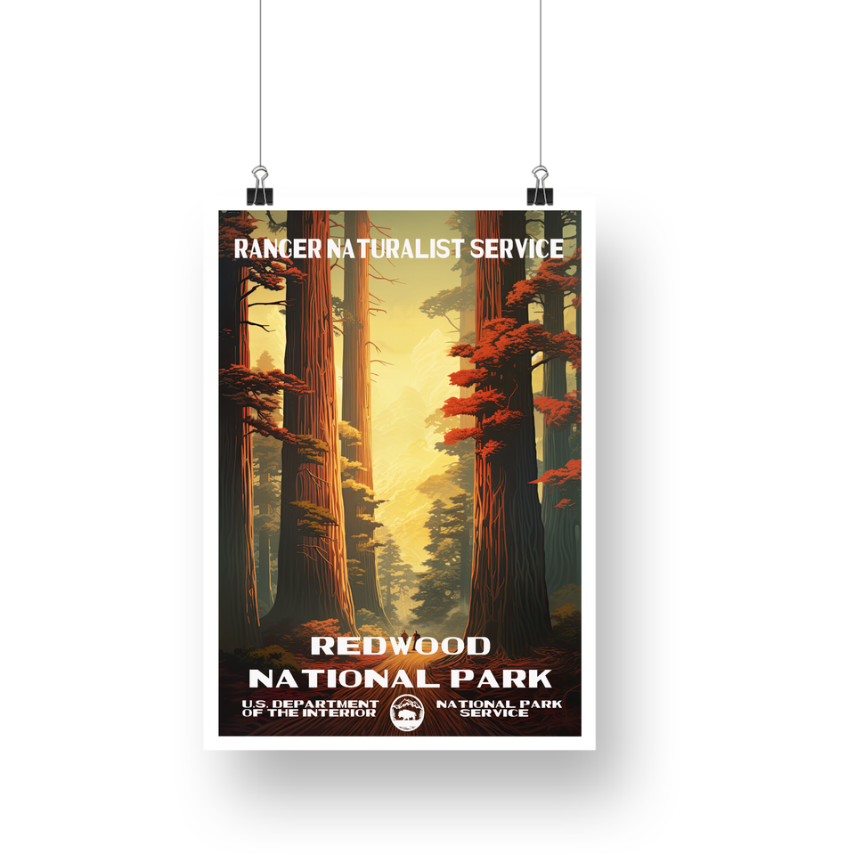Redwood National Park Poster – Redwood Canopy & Golden Sunset – Ranger Header