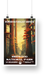 Redwood National Park Poster