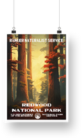 Redwood National Park Poster