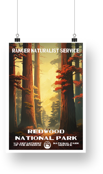 Redwood National Park Poster