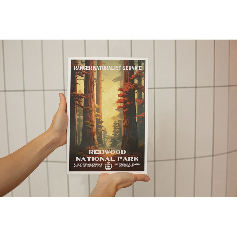 Redwood National Park Poster – Redwood Canopy & Golden Sunset – Ranger Header