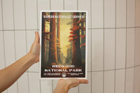 Redwood National Park Poster