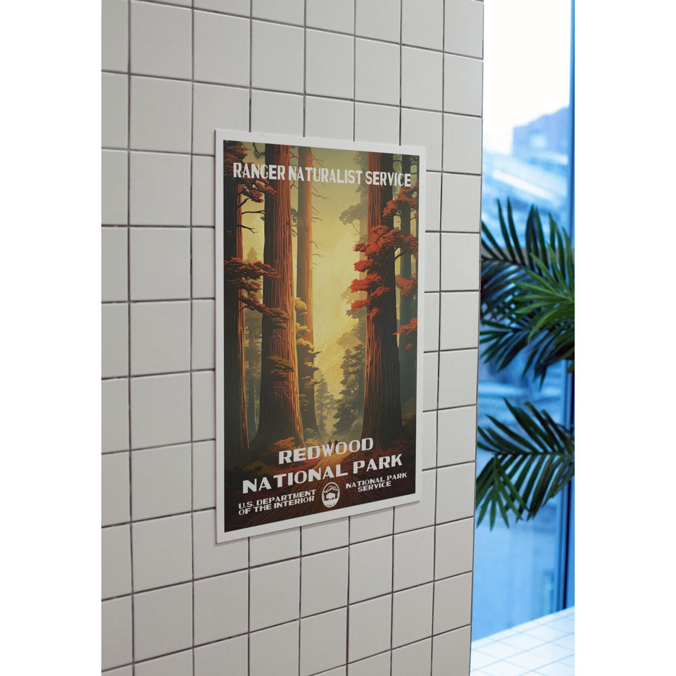 Redwood National Park Poster – Redwood Canopy & Golden Sunset – Ranger Header
