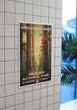 Redwood National Park Poster