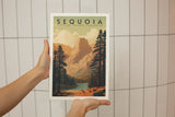 Sequoia National Park Poster