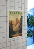 Sequoia National Park Poster