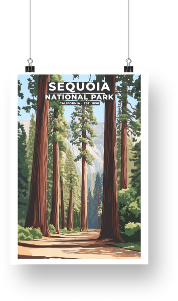 Sequoia National Park Poster