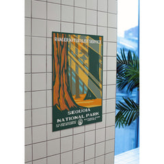 Sequoia National Park Poster – Sunbeams through Giant Sequoias – Ranger Header