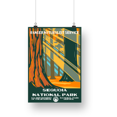 Sequoia National Park Poster – Sunbeams through Giant Sequoias – Ranger Header