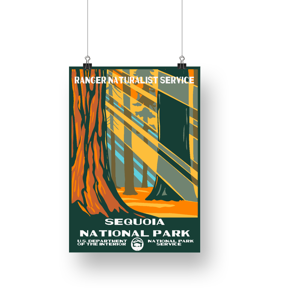 Sequoia National Park Poster – Sunbeams through Giant Sequoias – Ranger Header