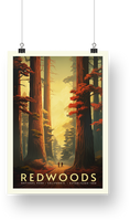 Redwood National Park Poster