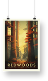 Redwood National Park Poster