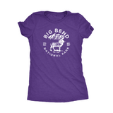 Big Bend National Park Women's T shirt