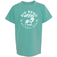 Big Bend National Park Youth Comfort Colors T shirt