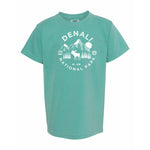 Denali National Park Youth Comfort Colors T shirt