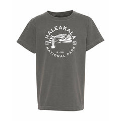 Haleakala National Park Youth Comfort Colors T shirt