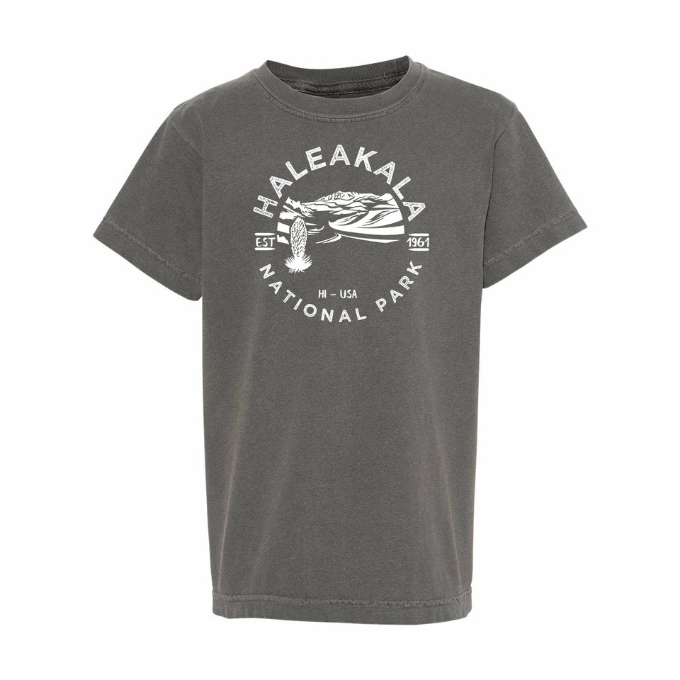 Haleakala National Park Youth Comfort Colors T shirt
