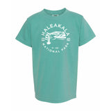 Haleakala National Park Youth Comfort Colors T shirt
