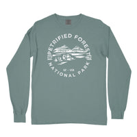 Petrified Forest National Park Comfort Colors Long Sleeve T Shirt
