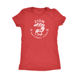 Zion National Park Women's T shirt