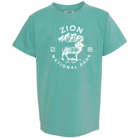 Zion National Park Youth Comfort Colors T shirt